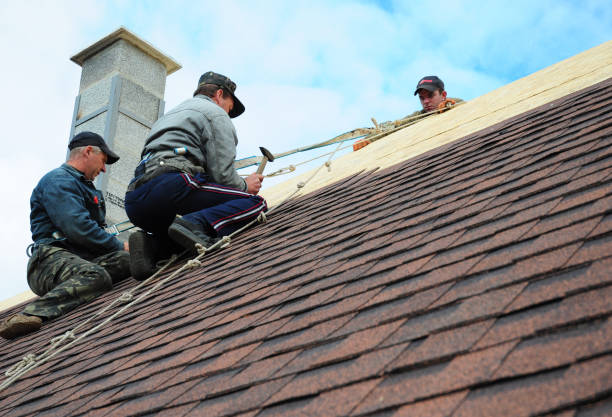 Best Commercial Roofing Services  in Elburn, IL